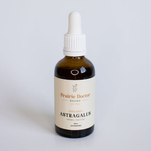 Prairie Doctor Brand - Organic Astragalus