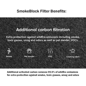 Benefits of added carbon in SmokeBlock filters