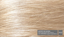 Lightest Ash Blonde 10.2