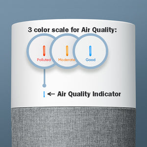Air Quality Indicator position and values on Blue Auto units