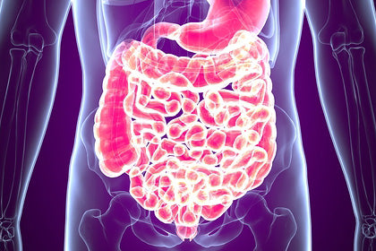 IBS Sufferers Can Regain Their Quality of Life