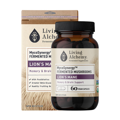 Living Alchemy - MycoSynergy Lion's Mane