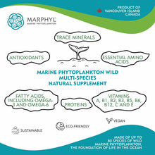 Marphyl Marine Phytoplankton features