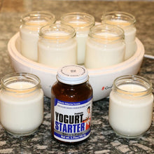 Natren Probiotic Yogurt Starter in use