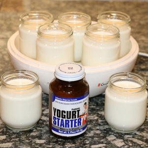 Natren Probiotic Yogurt Starter in use