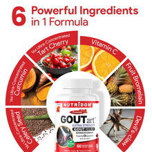 6 Ingredients in Nutridom GOUTart