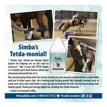 Testimonial for equine version of Tetda