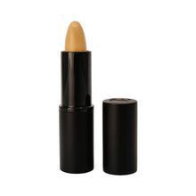 Pure Anada Medium Cream Concealer