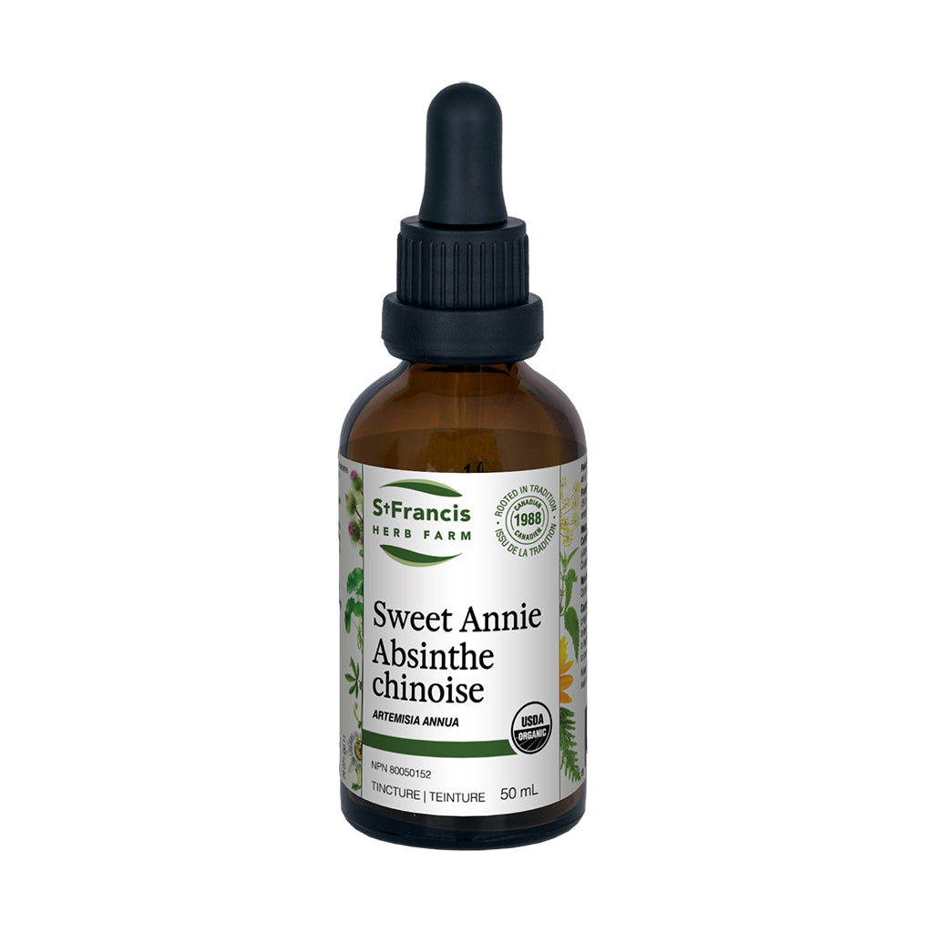 St. Francis Herb Farm - Sweet Annie
