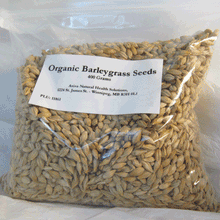 Barley Grass Seeds - Retail Bag