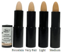 all four shades of Pure Anada Cream Concealer, labeled