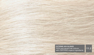 Extreme Ash Blonde 11.2