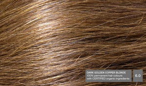 Dark Golden Copper Blonde 6.0