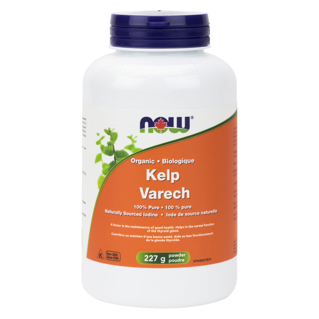 227g Jar of NOW Kelp powder