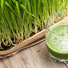 Barley Grass and Juice