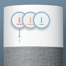 Blue 311 Auto air quality indicator location and states