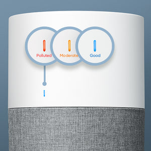 Blue 311 Auto air quality indicator location and states