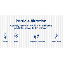 Specifications for Blue series particle filter performance
