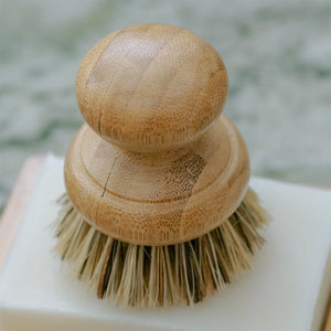 CASA AGAVE Pot Scrubber Brush