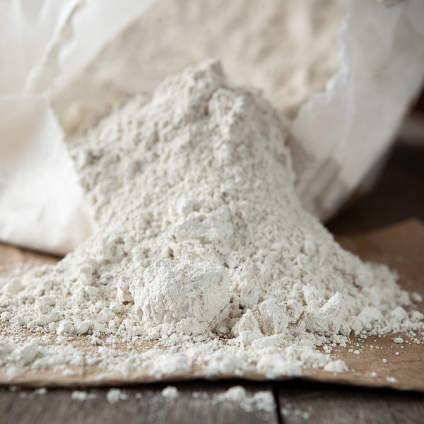 Diatomaceous Earth