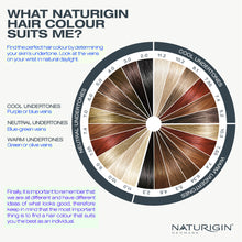 colour wheel for Naturigin hair colours