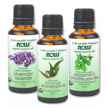 Several types of NOW Organic Essential Oil in of 30 ml bottles