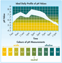 Chart on how to use the Pascoe pH test strip