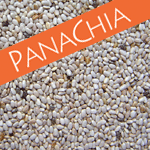 PanaChia - White Chia Seeds