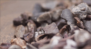 Certified Organic Raw Fermented Cacao Nibs
