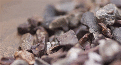 Certified Organic Raw Fermented Cacao Nibs